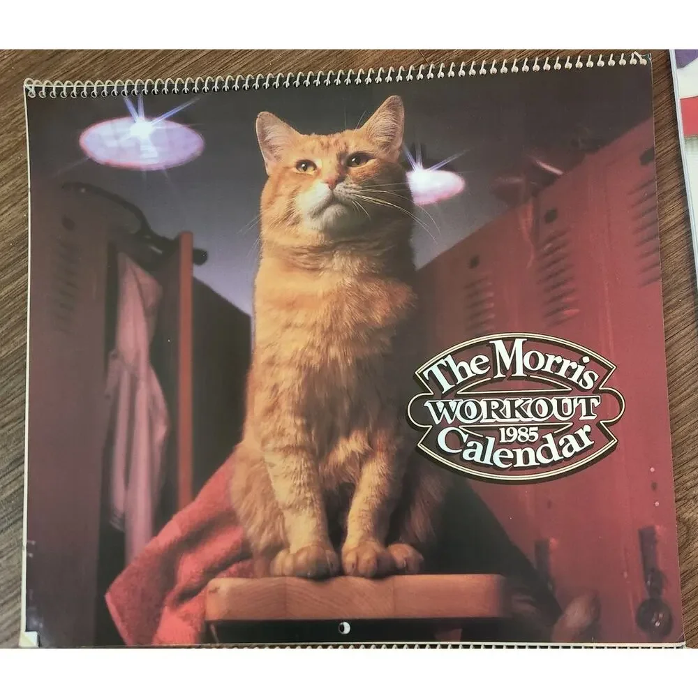 Vintage Morris the Cat Calendar Collection 1985-1990 Unused Lot of 6 Rare